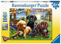 Ravensburger Puzzle Pasji piknik XXL 100 kosov