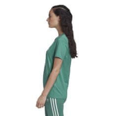 Adidas Majice zelena XS Trefoil Tee