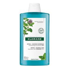 Klorane Detox šampon za normalne lase Menthe ( Detox Shampoo) (Neto kolièina 400 ml)