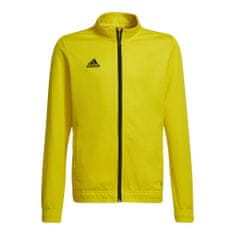 Adidas Športni pulover 171 - 176 cm/XL Entrada 22