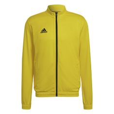 Adidas Športni pulover 188 - 193 cm/XXL Entrada 22