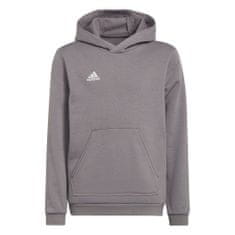 Adidas Športni pulover 159 - 164 cm/L Entrada 22 Hoody