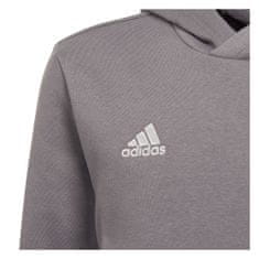 Adidas Športni pulover 159 - 164 cm/L Entrada 22 Hoody