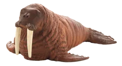 Mojo Walrus