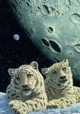 Grafika Puzzle Snow Leopards' Den 1000 kosov