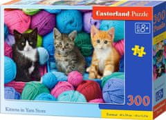 Castorland Puzzle Kittens v trgovini s prejo za pletenje 300 kosov