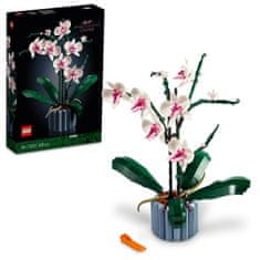 LEGO Botanicals 10311 Orhideja