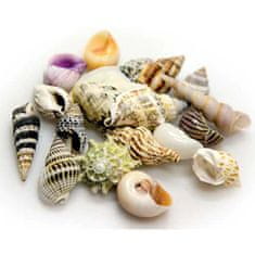 HOBBY aquaristic HOBBY Sea Shells Set S 20kosov - dekoracija za akvarij