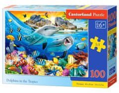 Castorland Puzzle Delfini v tropih 100 kosov