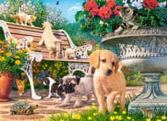 Castorland Puzzle Igra skrivalnic 100 kosov