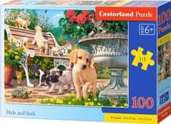 Castorland Puzzle Igra skrivalnic 100 kosov