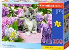 Castorland Puzzle Kitten v vedru 200 kosov