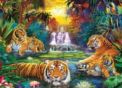 EuroGraphics Puzzle Tiger Paradise XL 500 kosov