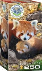 EuroGraphics Puzzle Red Panda XL 250 kosov