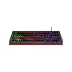 NEW Membranska igralna tipkovnica Havit KB866L RGB