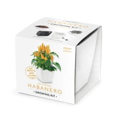 Domestico GROW YOUR HABANERO, darilni set s samovlažilnim loncem, BELI 13X13 CM