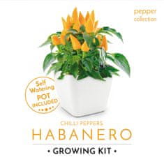 Domestico GROW YOUR HABANERO, darilni set s samovlažilnim loncem, BELI 13X13 CM