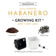 Domestico GROW YOUR HABANERO, darilni set s samovlažilnim loncem, BELI 13X13 CM