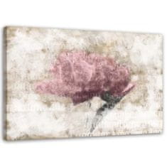 shumee Slika, Abstraktne rože Shabby Chic - 60x40