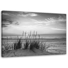 shumee Slika na platnu, Trave na plaži - črno-bela - 100x70