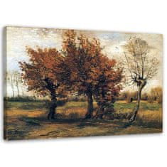 shumee Slika na platnu, Jesenska pokrajina s štirimi drevesi - reprodukcija V. van Gogha - 60x40