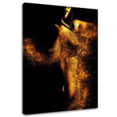 shumee Slika na platnu, Ženska v zlatem prahu - 60x90