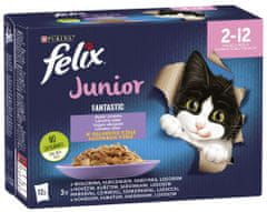 Felix FANTASTIC Junior multipack okusen izbor v želeju, 72×85 g