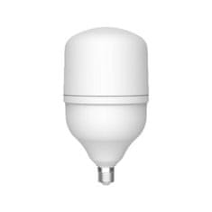 ORO LED sijalka E27 25W 4000K 2750lm T100