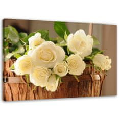 shumee Slika, Rumene in bele vrtnice - 120x80