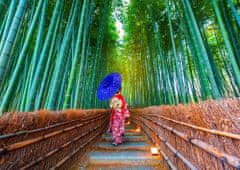 ENJOY Puzzle Azijka v bambusovem gozdu 1000 kosov