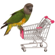 Igrača papiga Nakupovalni voziček