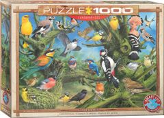 EuroGraphics Puzzle Ptice na vrtu 1000 kosov