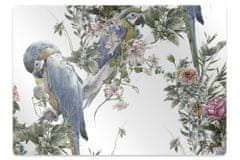 Decormat Podloga za pisalni stol Parrot 100x70 cm 