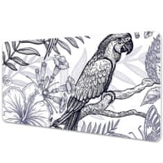 Decormat Namizna podloga Sketched parrot 120x60 cm 