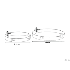 Beliani Komplet 2 dekorativnih pladnjev Silver SAFUR