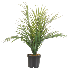 Beliani Umetna rastlina v loncu 45 cm ARECA PALM