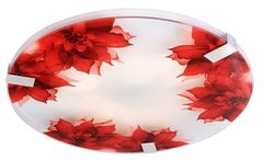 shumee RAPSODY Plafond 31 1X9W LED Round