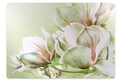 Decormat Podloga za zaščito tal Magnolia flowers 120x90 cm 