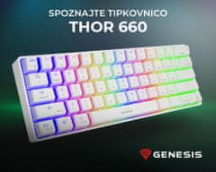 Genesis Thor 660 gaming tipkovnica, mehanska, USB-C, Bluetooth, RGB LED, bela - rabljeno