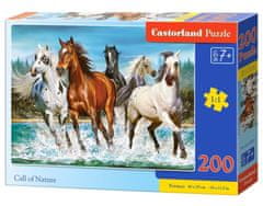 Castorland Puzzle Klic narave 200 kosov