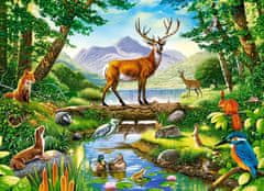 Castorland Puzzle Forest Harmony 300 kosov