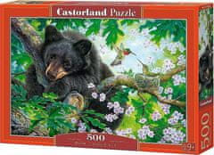 Castorland Puzzle Želim si, da bi letel 500 kosov