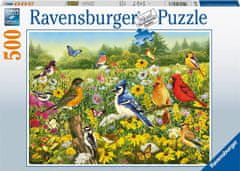 Ravensburger Puzzle Ptice na travniku 500 kosov