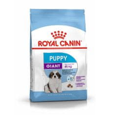 Royal Canin pasji briketi Giant Puppy 15 kg