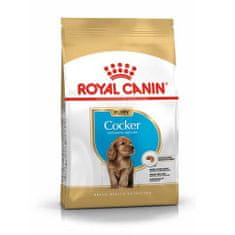 Royal Canin Cocker Puppy pasji briketi, 3 kg