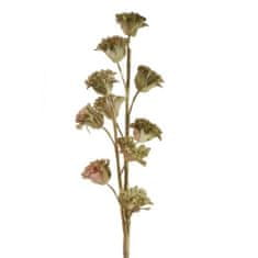 Eurofirany Flower Flore 537 Dolžina 75 cm Dolžina s cvetovi 40C Svetlo rjava