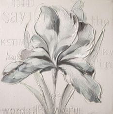 Eurofirany Slikarstvo Iris (01) 60X60 cm kremna