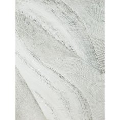 Eurofirany Slika 368 60X80 cm bela