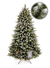 Božično drevo Pirenejska smreka 250 cm