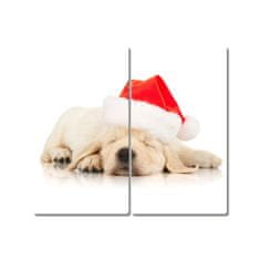 tulup.si Steklena podloga za rezanje Puppy Cap Santa Claus Zima 2x30x52 cm